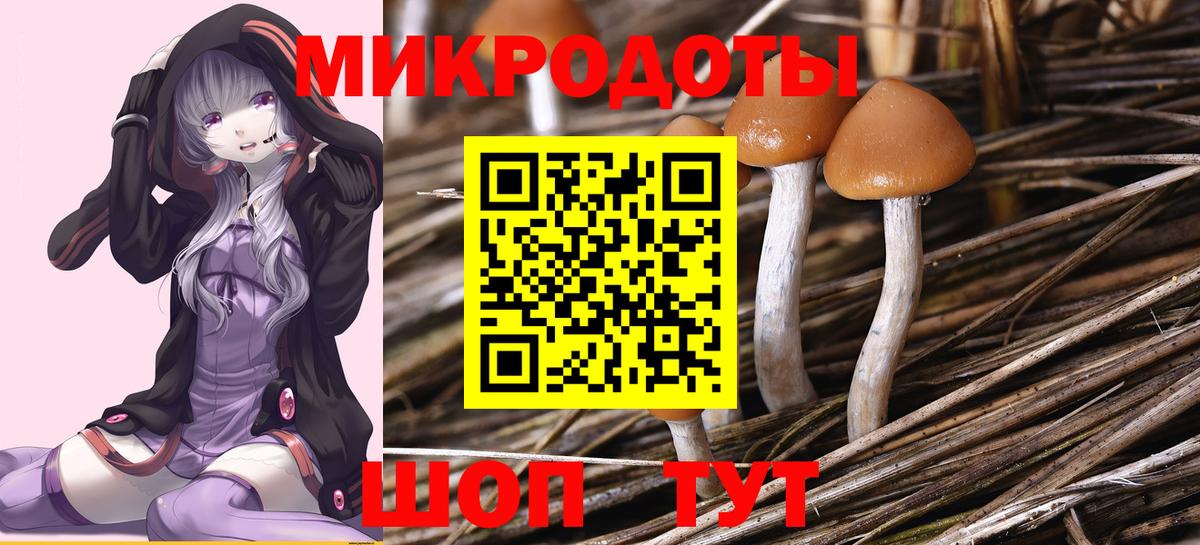 Псилоцибиновые грибы Magic Shrooms Анжеро-Судженск